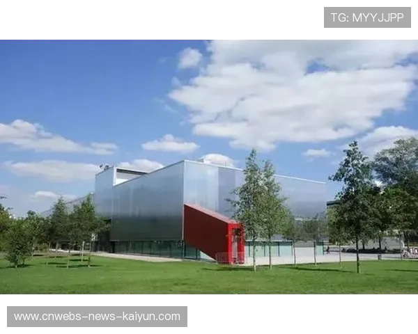 世界杯城市安保科技应用案例分析 世界杯城市安保科技应用案例分析